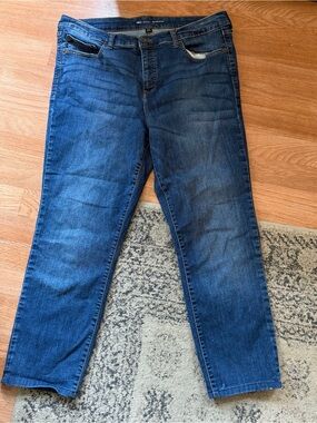 Inc Denim Size 16 Skinny Jeans